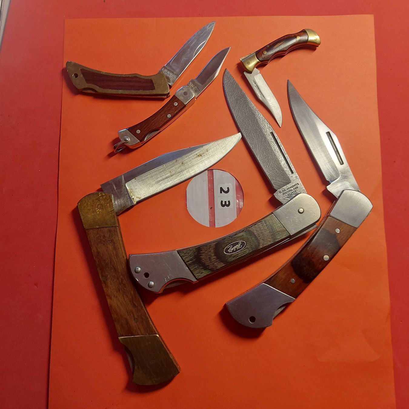 Coltelli tascabile: 6 Klappmesser Nr.23 – Nuovo (secondo la descrizione) da Opfikon venduto da Seevogt47