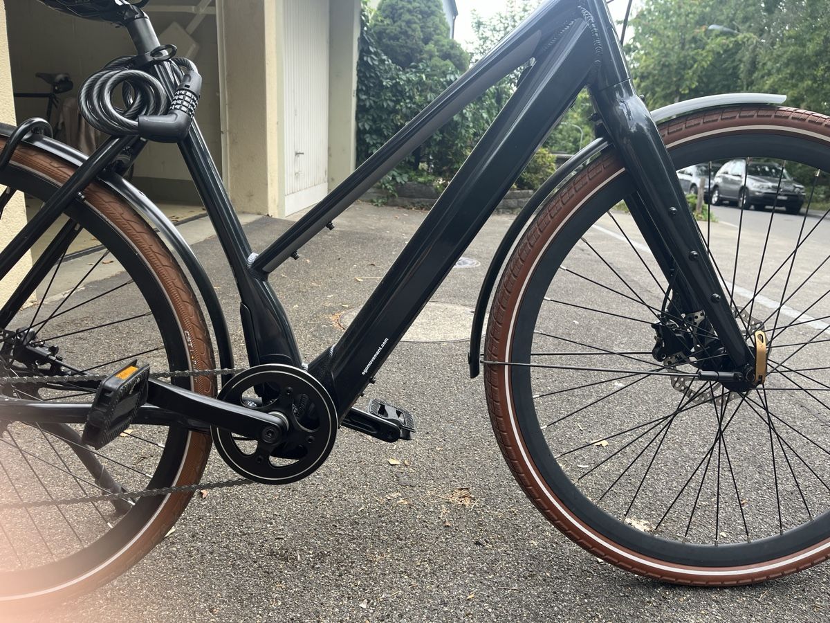 Ego Movement Biciclette: EGO Movment E. Bike – Usato da Zürich venduto da ala_h6yq