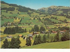 Schönried 1981