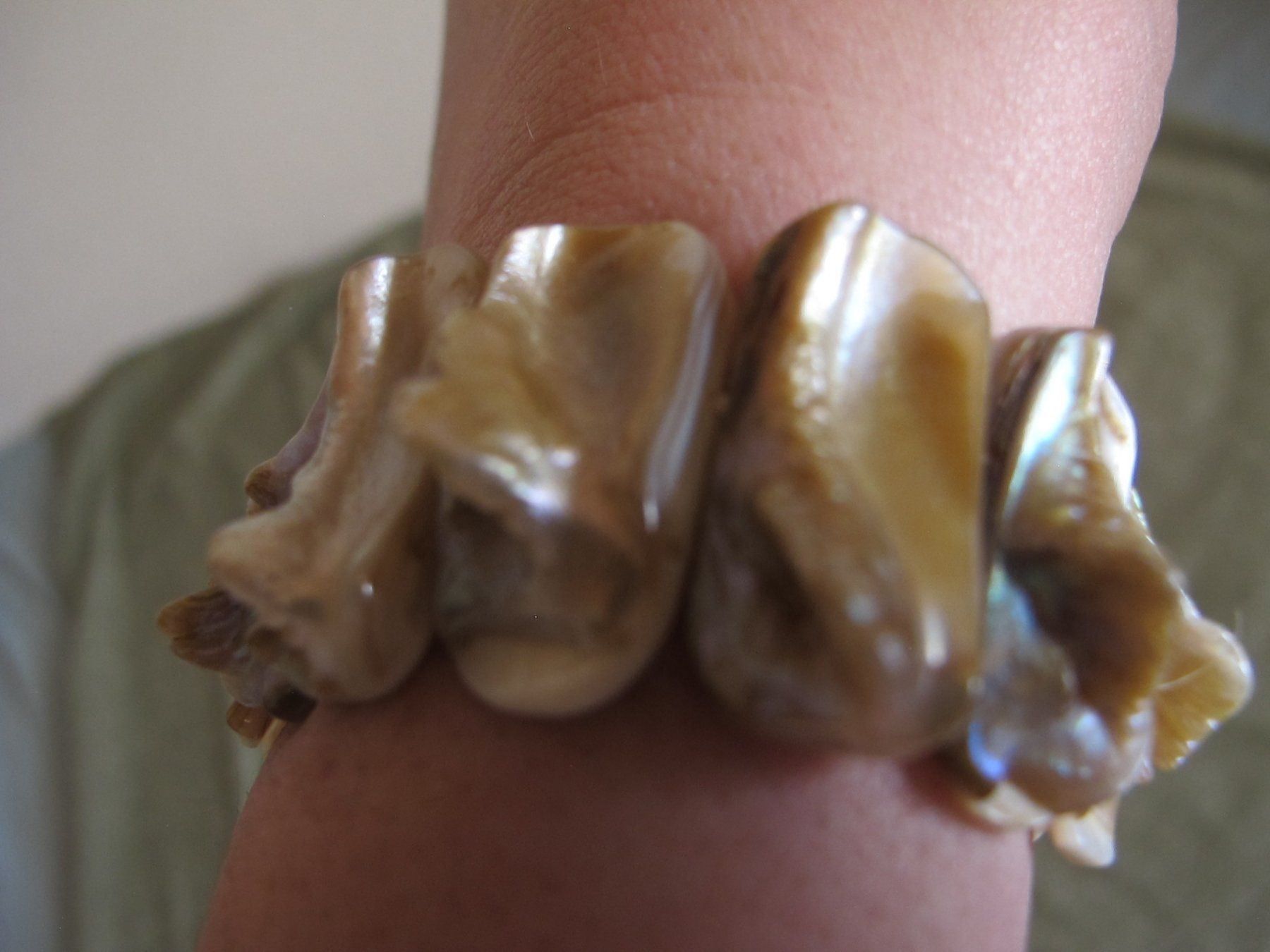 Bracciali & Braccialetti: Extravagantes Muschel Armband – Usato da Löhningen venduto da Chimae67 2
