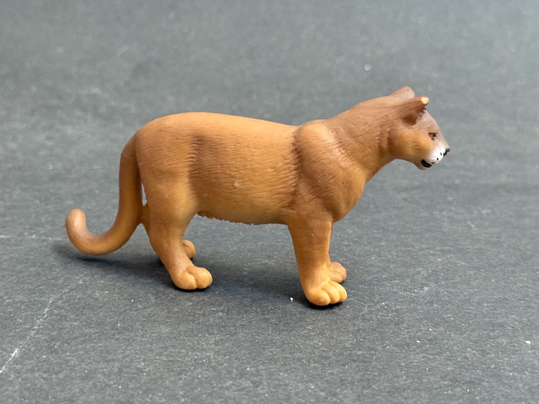 Schleich Figuren: Schleich Puma 14164 – Gebraucht aus Ennetbaden von mapa05 3
