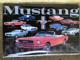 Ford Mustang v8 classic Oldtimer
