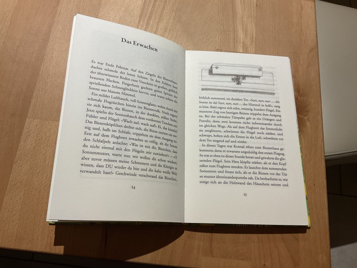 Bücher: Das Bienenbuch Jakob Streit 7+ – Neu (gemäss Beschreibung) aus Wil ZH von RiccardaWegmann 2