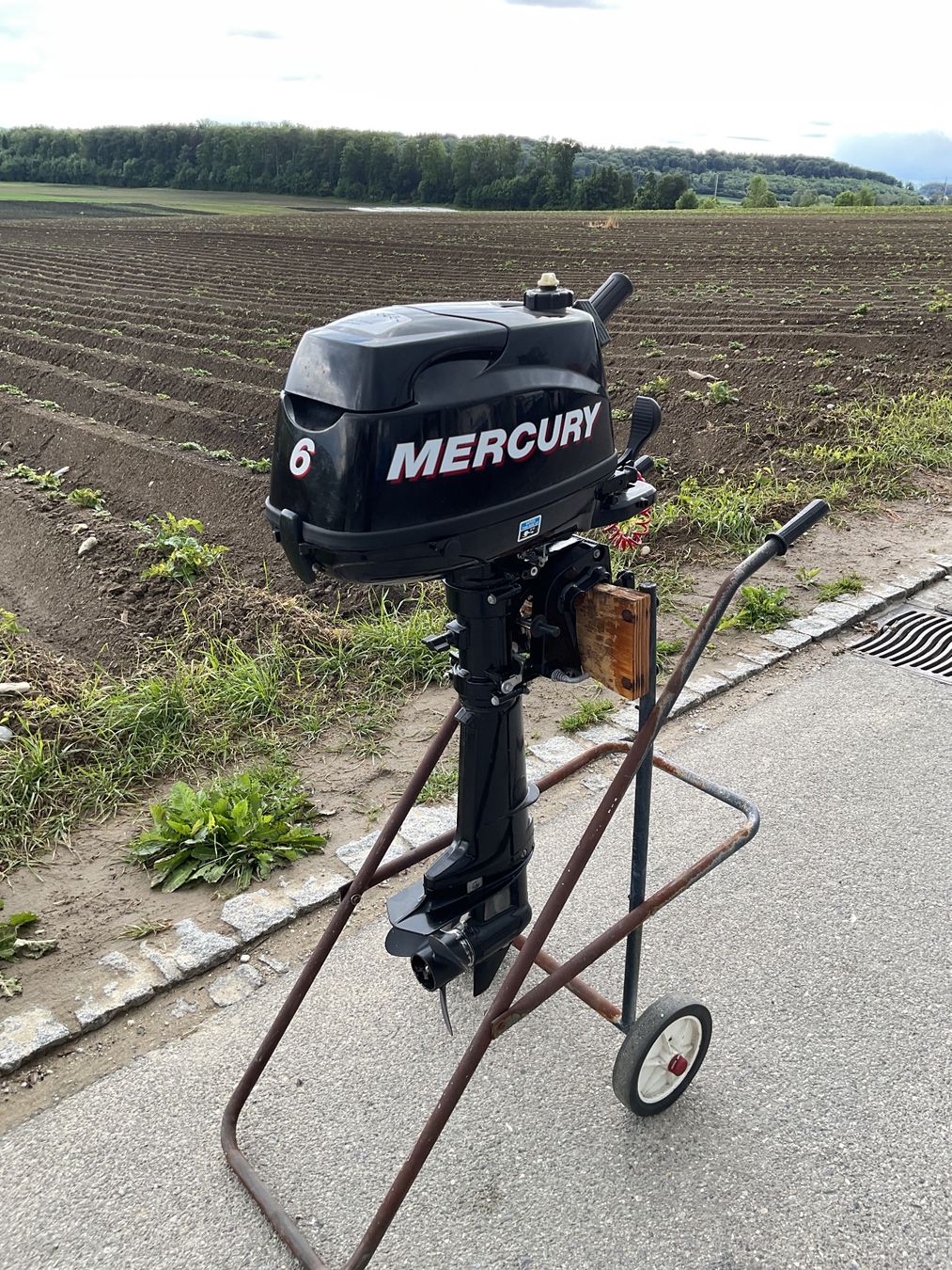 Mercury Motori: Aussenbordmotor Mercury F6M – Usato da Hagneck venduto da Kobogero