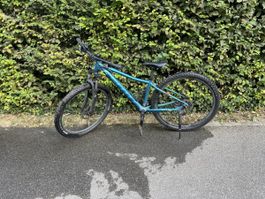 Scott Mountainbike 