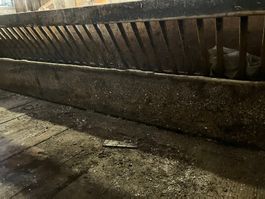 Krippe für Schafe Holz