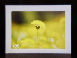 MIGROS MANIA Nature Detectives Nr. 109
