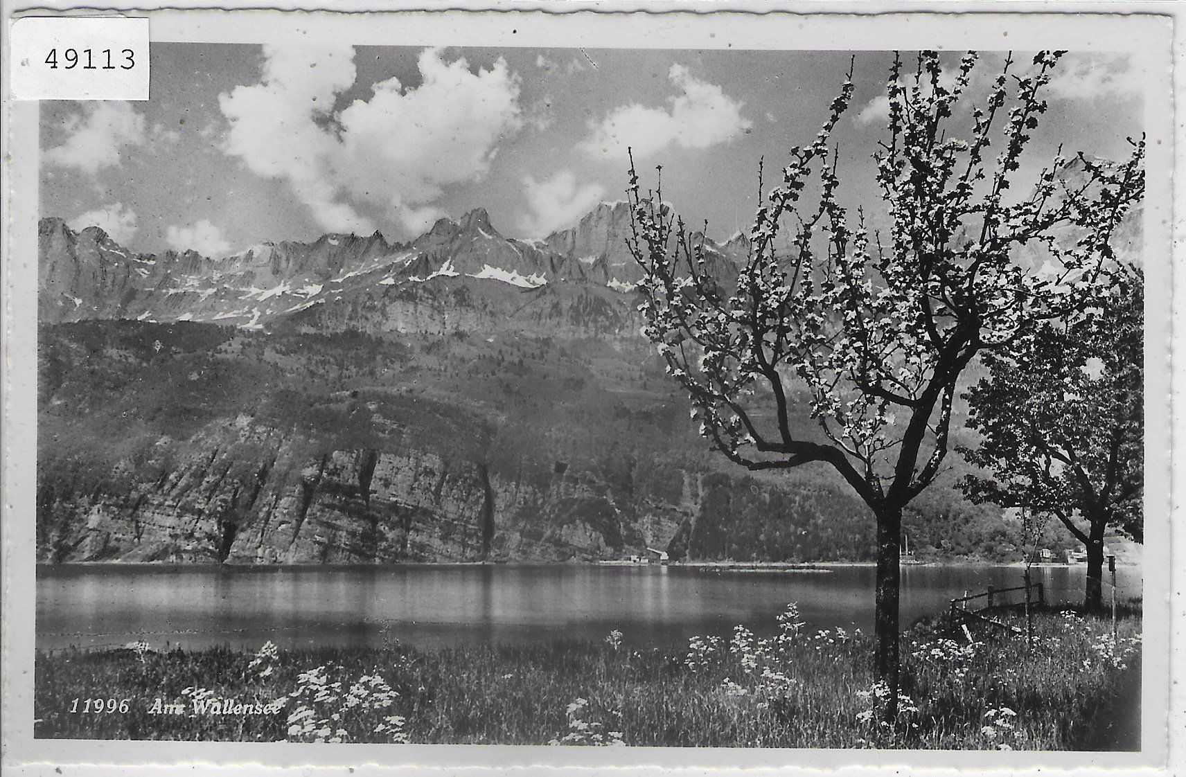 Cartoline postali: Frühling am Wallensee – Usato da Ettingen venduto da Kartenplanet