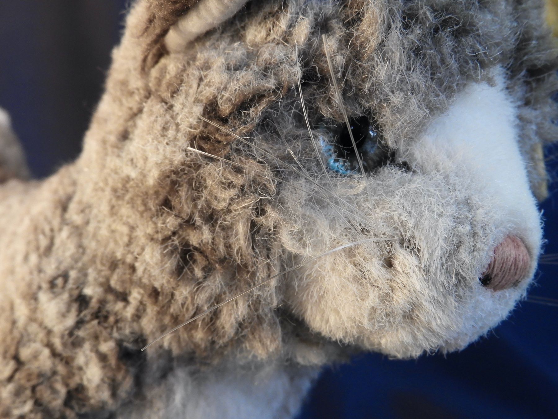 Steiff Spielzeuge: Original Steiff  Katze Plüschtiet – Gebraucht aus Horw von luzernicus 7