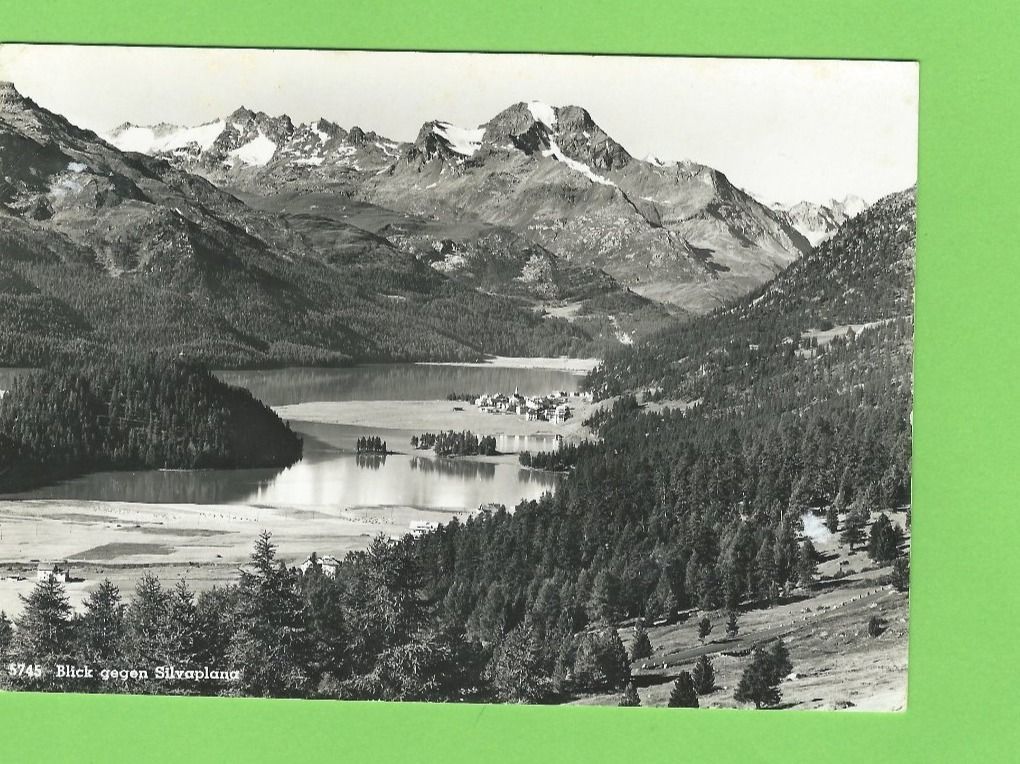 Cartoline postali: Blick gegen Silvaplana – Nuovo (secondo la descrizione) da Zürich venduto da t24_de
