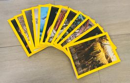 12 National Geographic magazines - Feb 2025 to January 2026