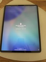 iPad Pro 12.9” (3. Generation) 256 GB 