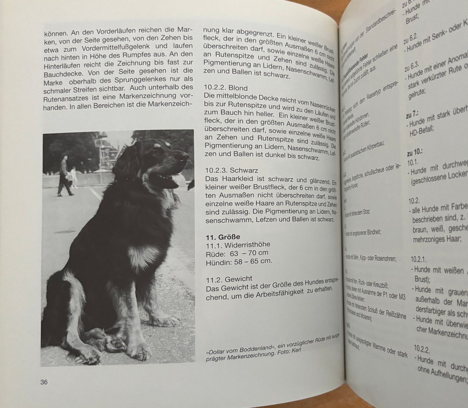 Libri: Kerl Susanne, Hovawart – Nuovo (secondo la descrizione) da Sarnen venduto da Livres 6