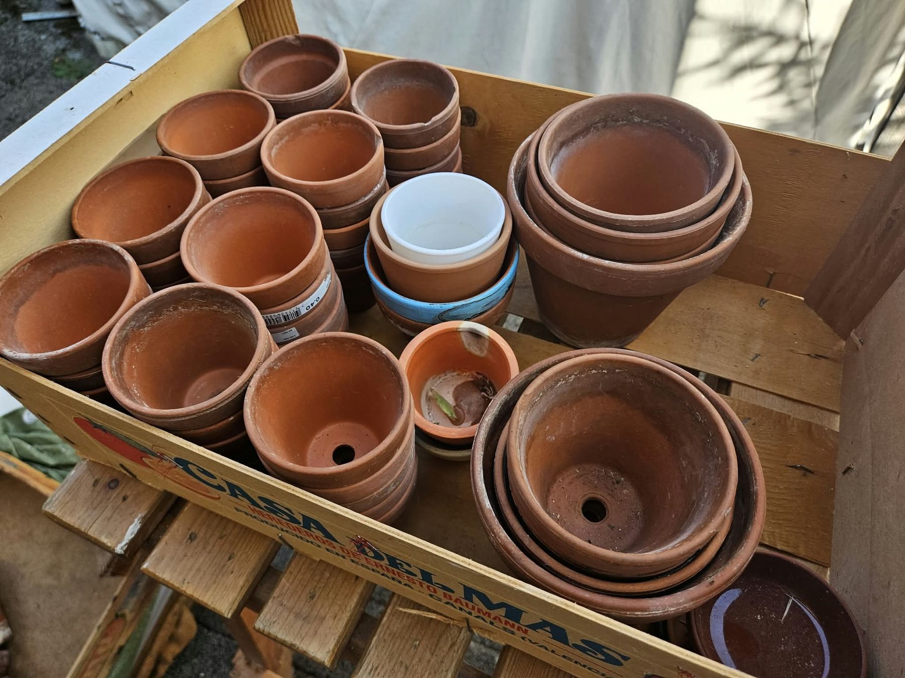 Blumentöpfe: Diverse Töpfe – Gebraucht aus Münsingen von always_7