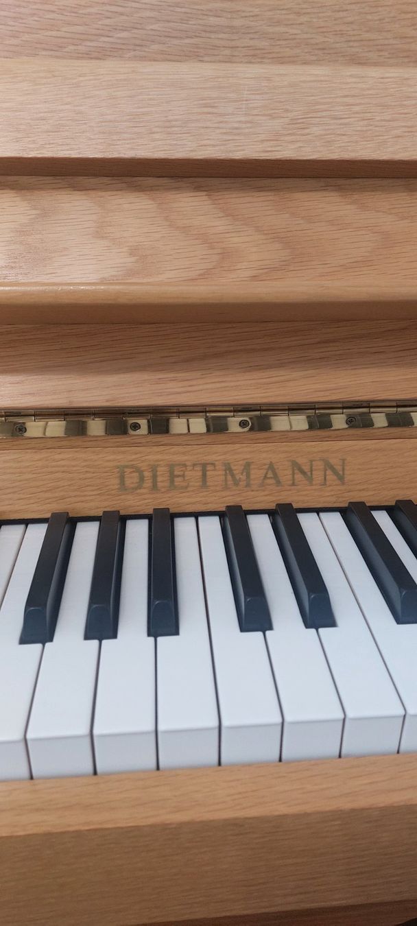 Strumenti musicali: Klavier Dietmann – Usato da Egolzwil venduto da pas_2vc8 2