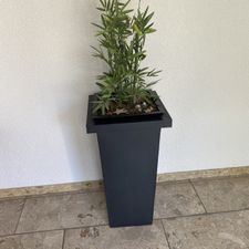 Profile image of MariPa55