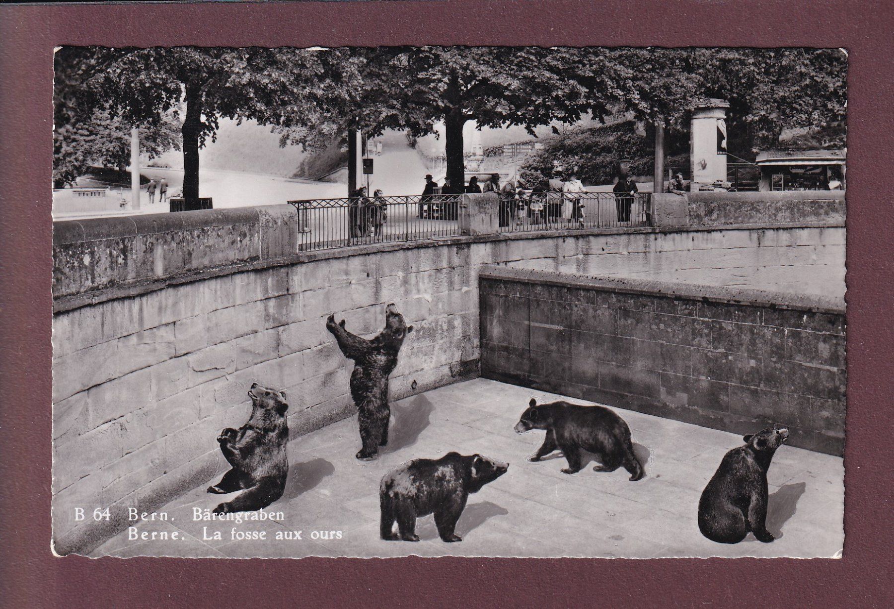 Cartoline postali: BERN - Bärengraben – Usato da Pully venduto da nicecards