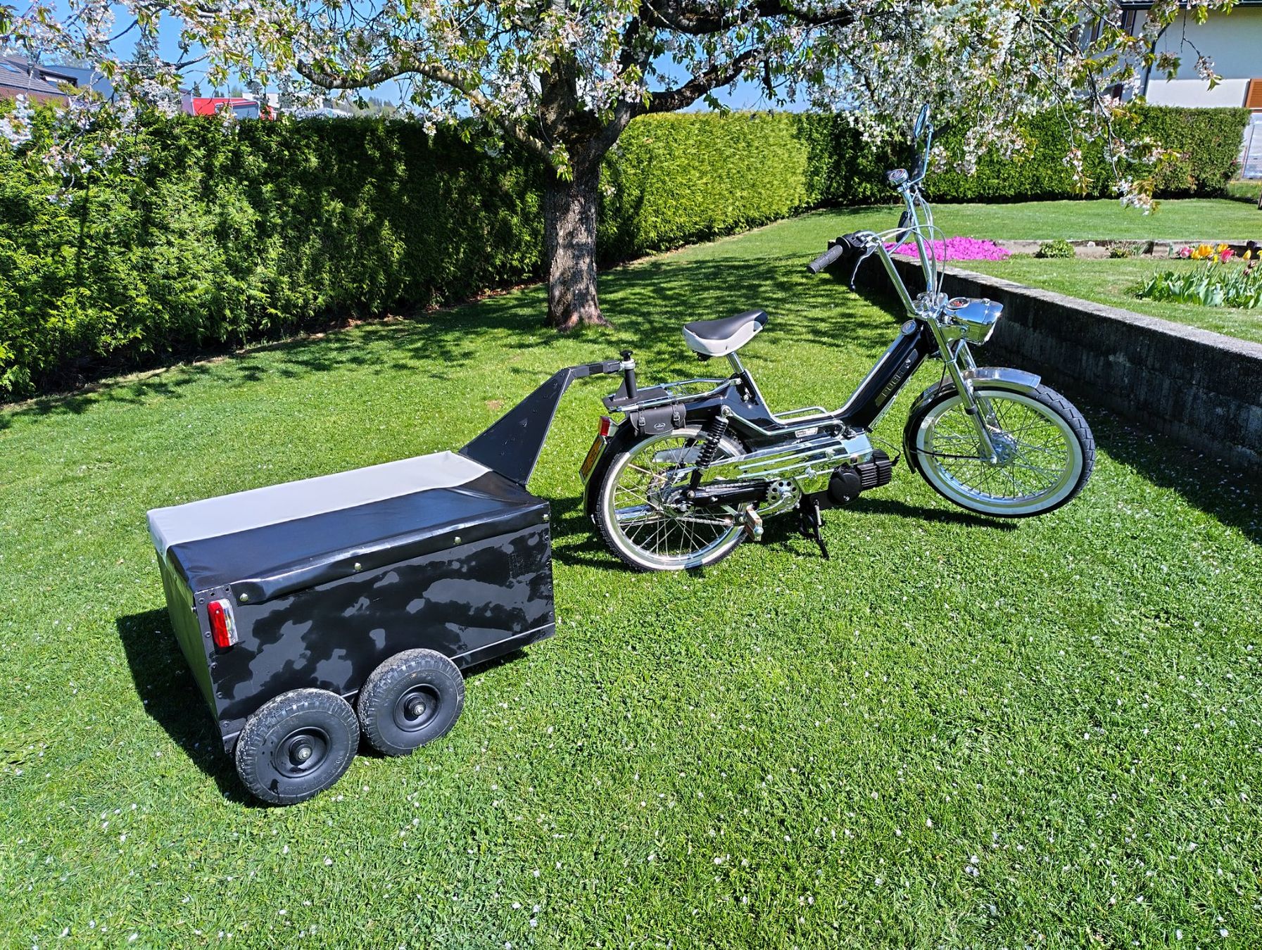 Puch Mofas: Puch Maxi S – Gebraucht aus Alterswil FR von bme_wn92 6