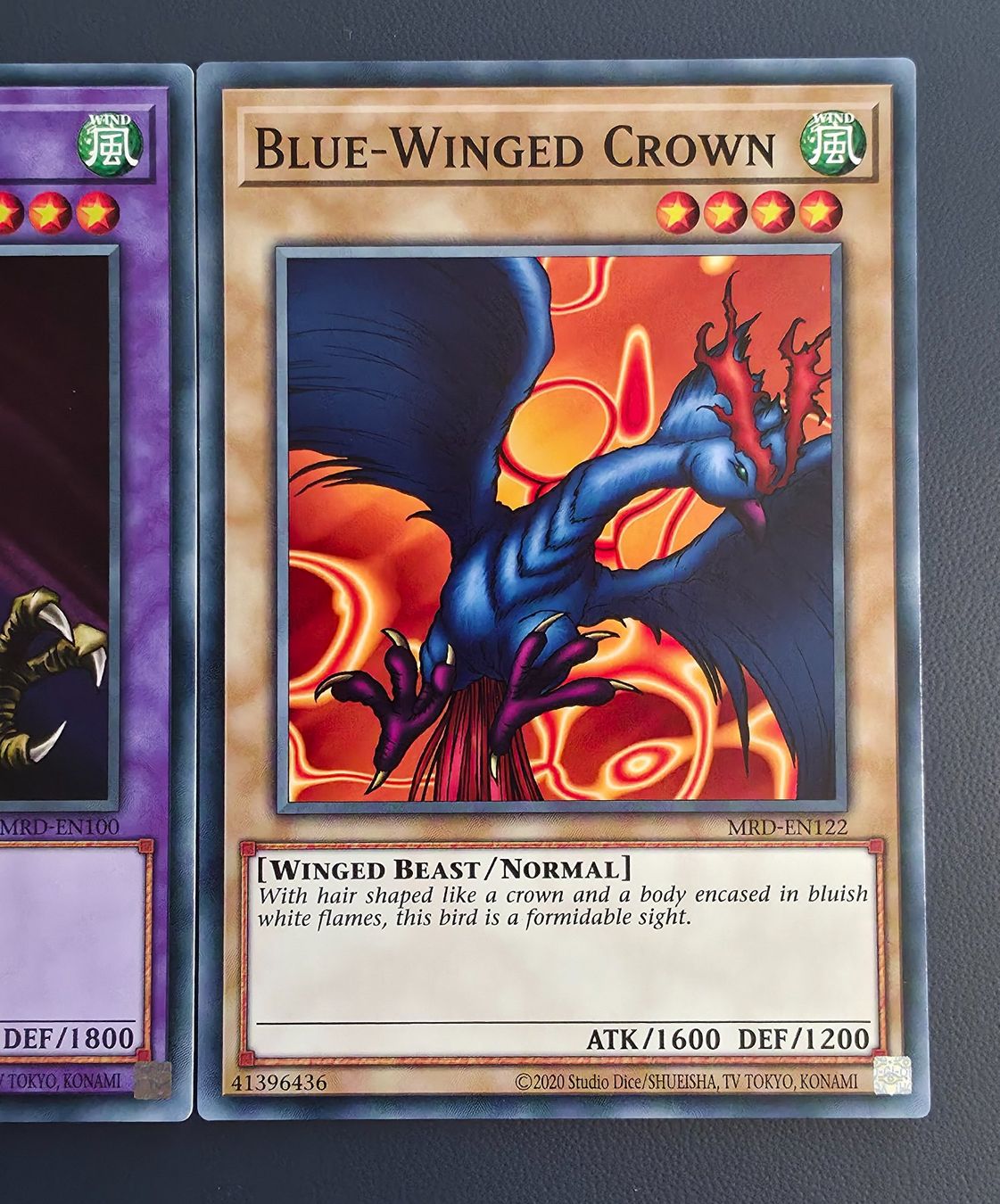 Yugioh Carte collezionabili: Punished Eagle Fusionset, MRD, Yugioh – Nuovo (secondo la descrizione) da Zürich venduto da StickerPatron 3