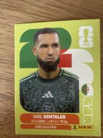 Panini Fifa ALG 12