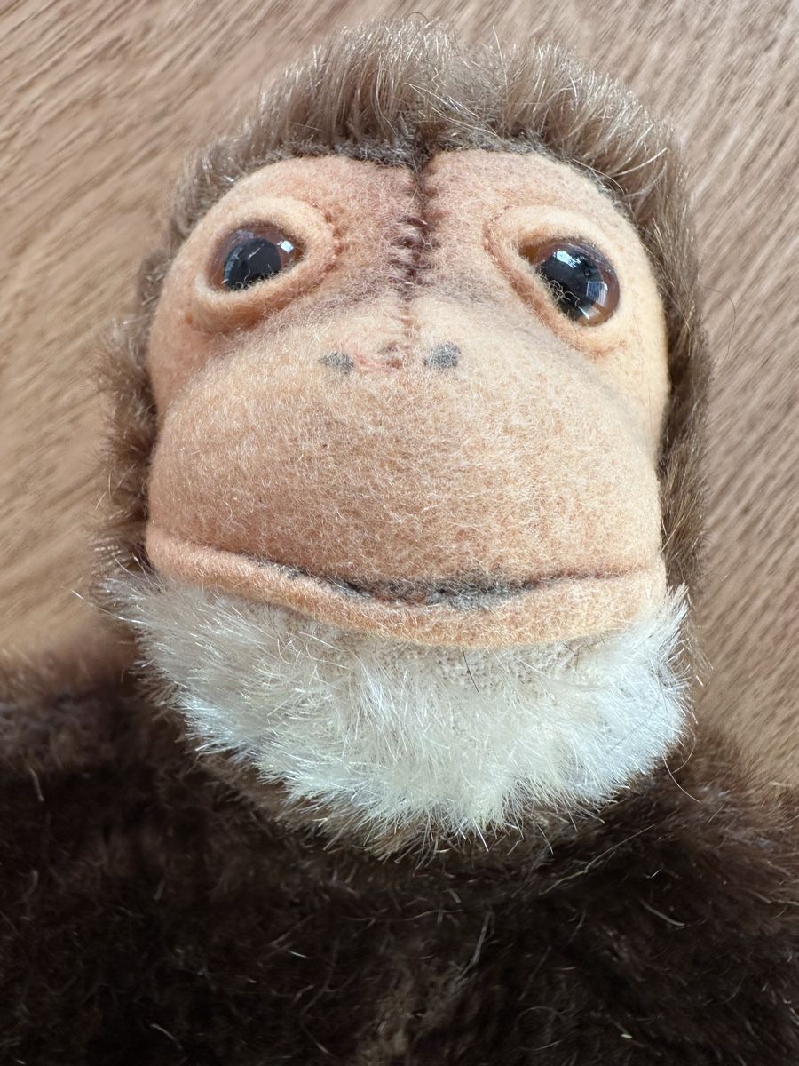 Steiff Giocattoli: Steiff Handpuppe 22 cm – Usato da Herbriggen venduto da Sehrazade 1