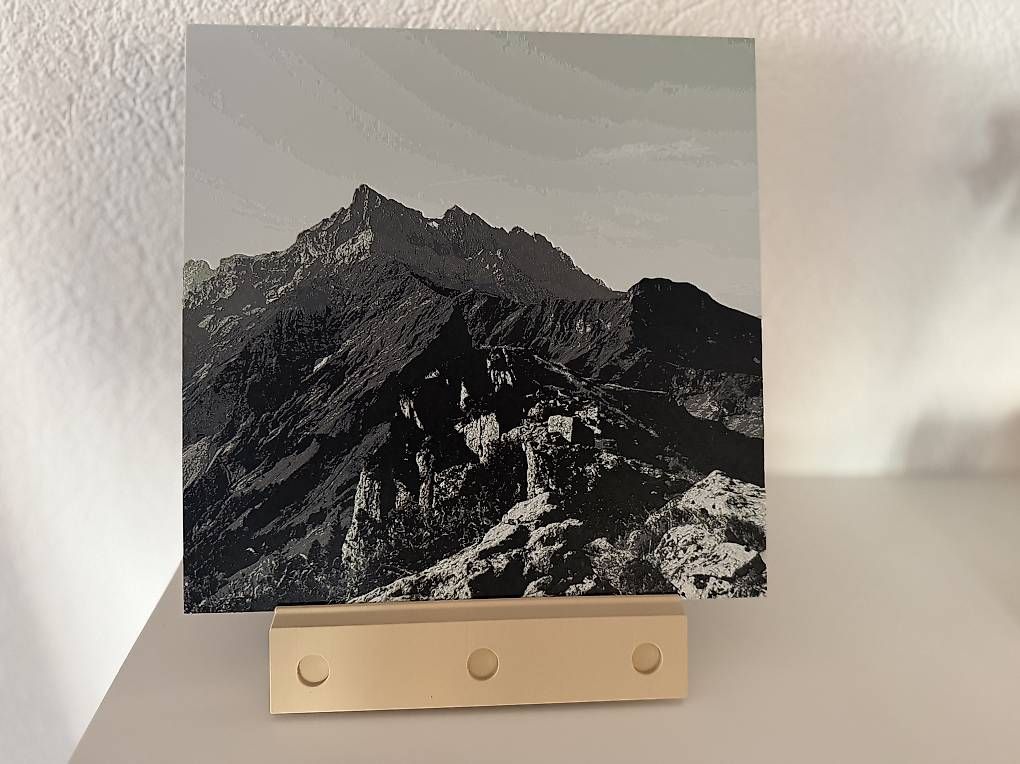 Foto & Immagini: Image imprimée en 3D des Dents du Midi – Nuovo e nell'imballaggio originale da Ollon VD venduto da reefguard 1