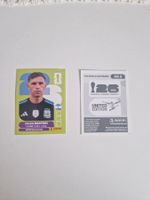 Panini Sticker ARG2