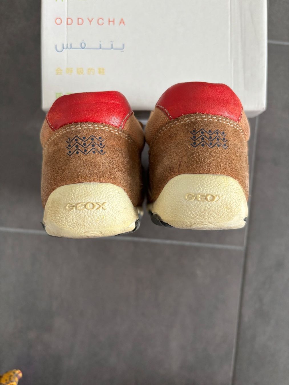 Geox Scarpe per ragazzi: Geox B neue Balu, Grösse EU 23 – Usato da Oberägeri venduto da MariaLehman 3