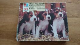 100er Puzzle