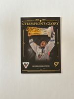 Carte Champion Borgström SportZoo
