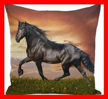 Kissenbezug Horse Pferd Ross Schwarz Sofa Couch Bett Zimmer