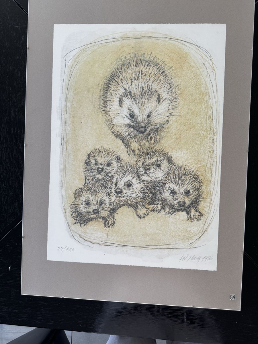 Grafica & Litografie: Fritz Hug Lithogaphie, Igelfamilie – Usato da Safenwil venduto da Corahund