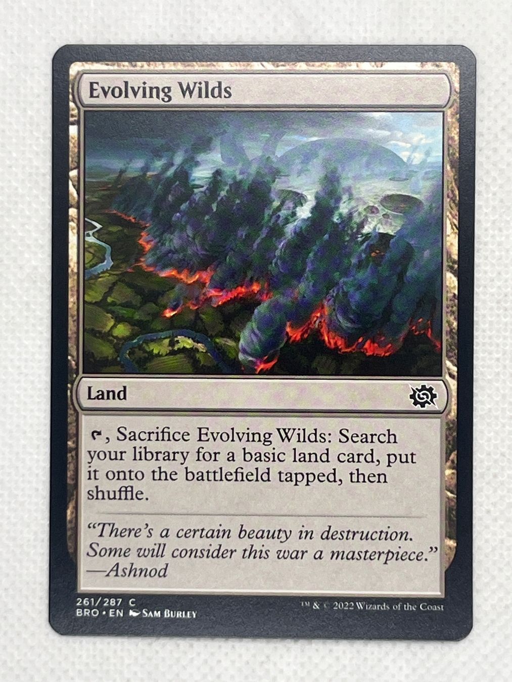 Magic The Gathering Carte collezionabili: Magic: The Gathering - Evolving Wilds - BRO – Usato da Hinterkappelen venduto da Kim1992