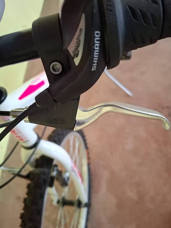 Biciclette: Vendo bici da ragazza  – Usato da Stabio venduto da VKING21 3