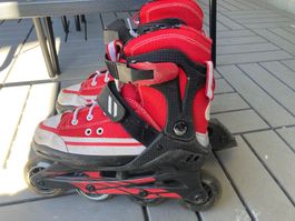 Inlineskates Crane Grösse 33-37
