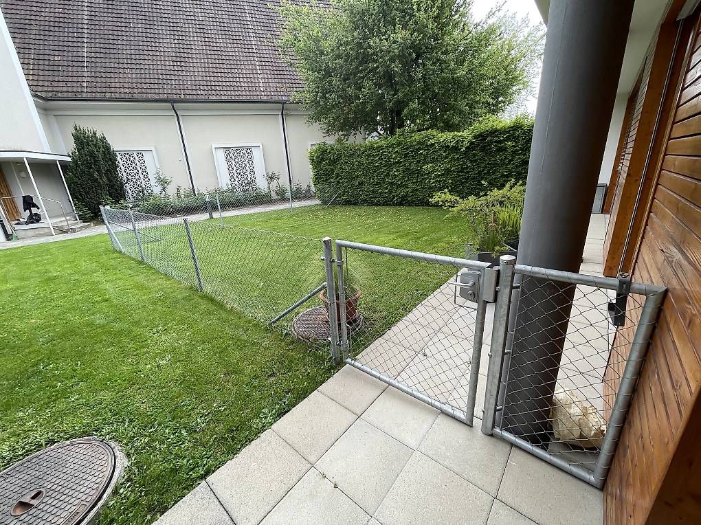 Sichtschutz: Gitterzaun  – Gebraucht aus Herrliberg von svagi