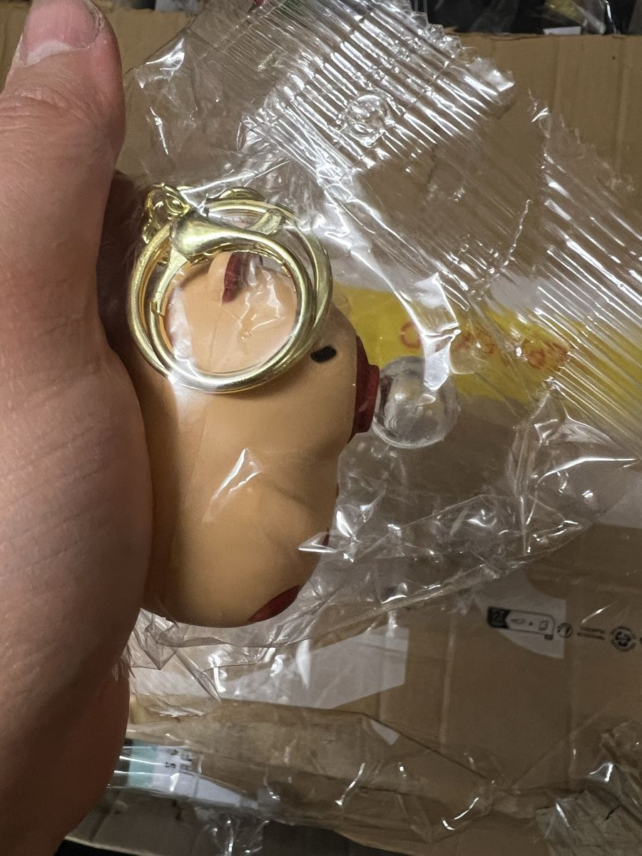 Schlüsselanhänger & - bänder: Bubble Capybara Schlüsselanhänger – Neu und originalverpackt aus Döttingen von Swissquisite 1