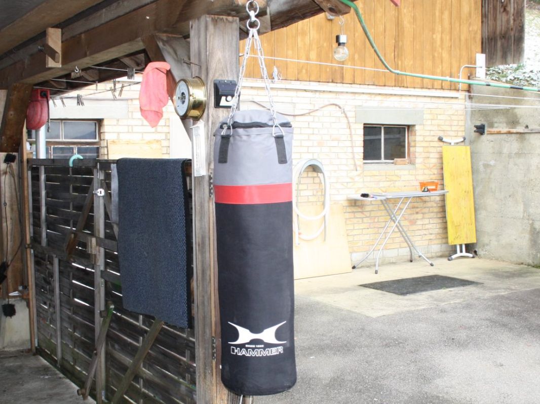 Sacchi da boxe: BOXSACK HAMMER – Usato da Wauwil venduto da Pneuedy 1