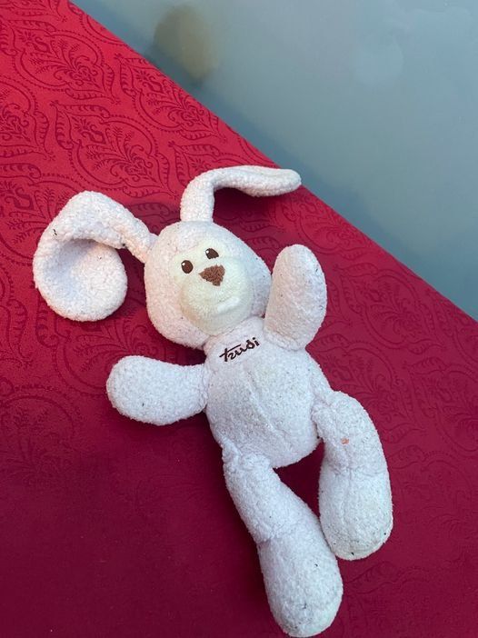 Spielzeuge: Trudi Hase ca 26cm Plüschtier – Gebraucht aus Bergdietikon von antovale