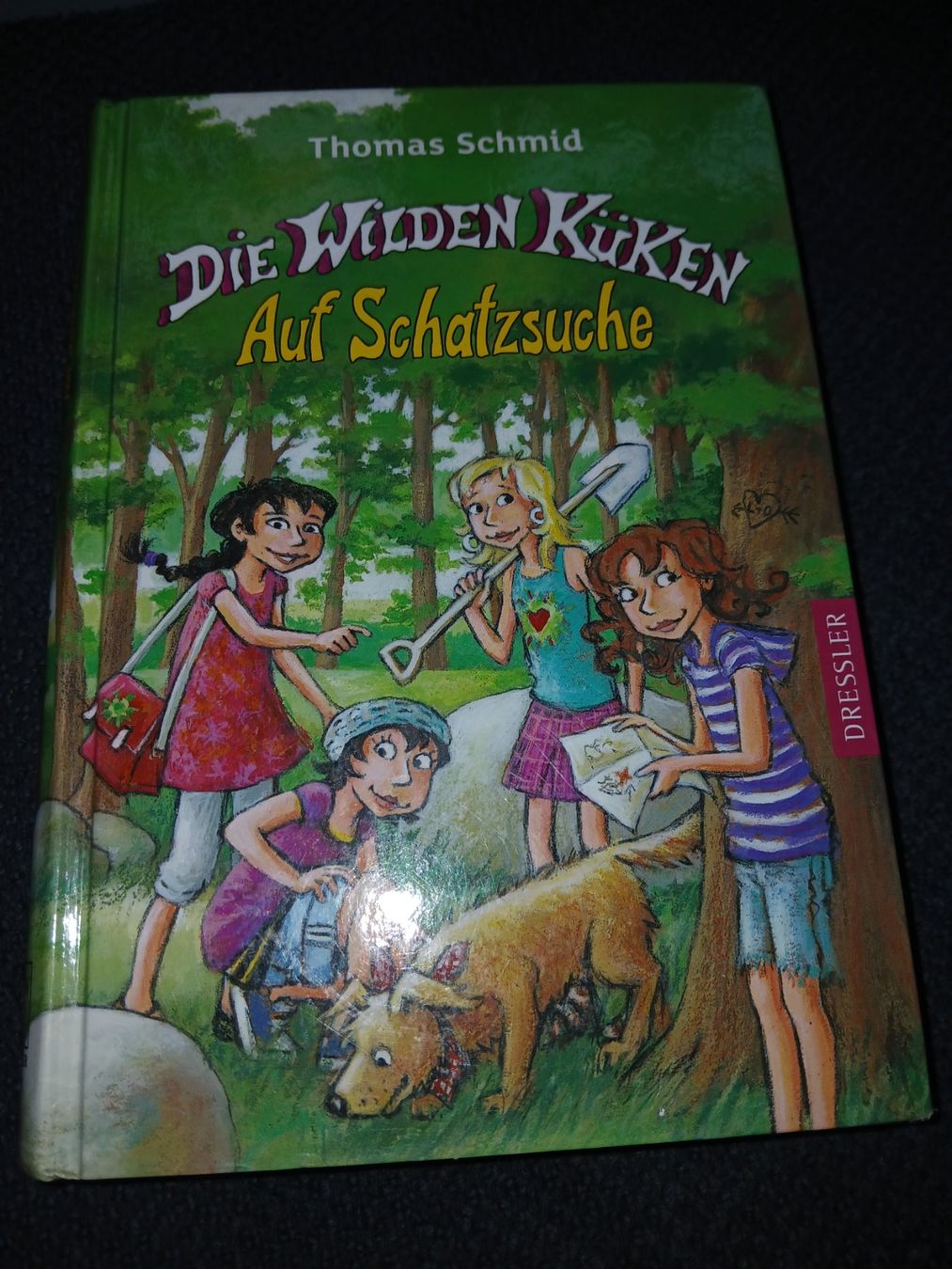 Libri: Die wilden Küken 3 Bücher – Usato da Bauma venduto da beppo03