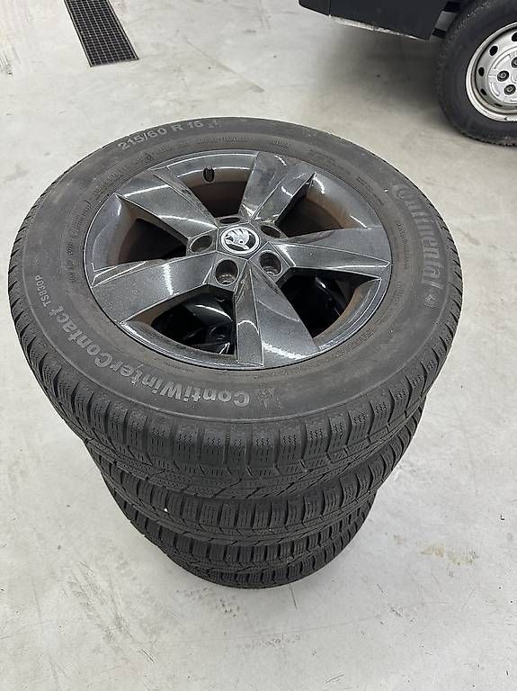 Pneumatici & Ruote complete: Skoda Kodiaq Winterräder – Usato da Willisau venduto da JN1984