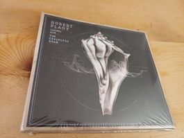 Robert Plant: Lullaby And ... The Ceaseless Roar (neu)