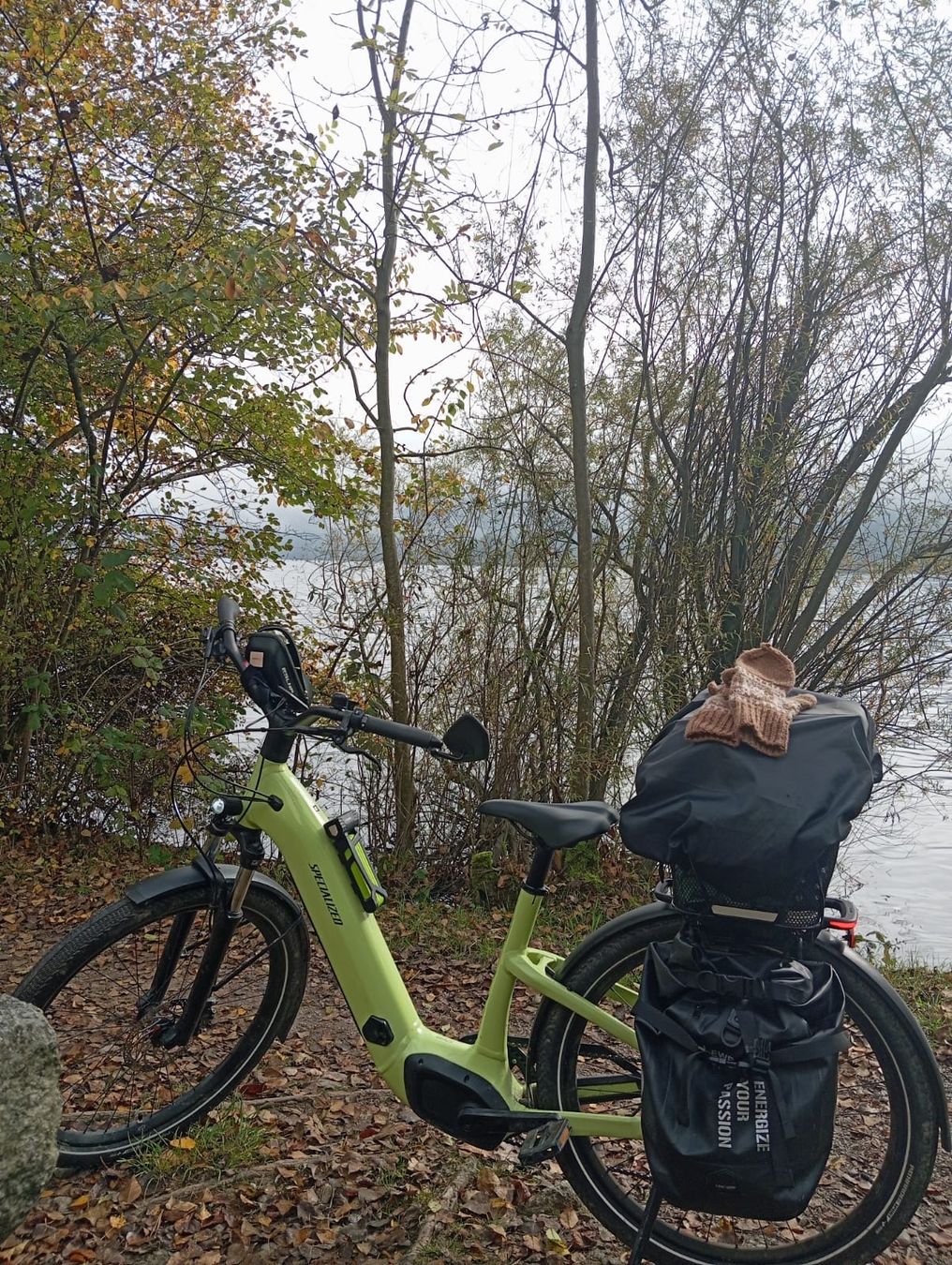 Velos: E-bike – Gebraucht aus Luzern von piolho01 4