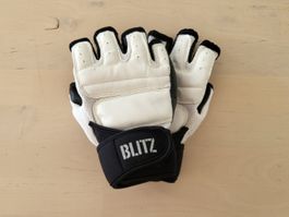 Blitz Kampfsport Handschuhe Weiss - MMA Grappling Handschuhe
