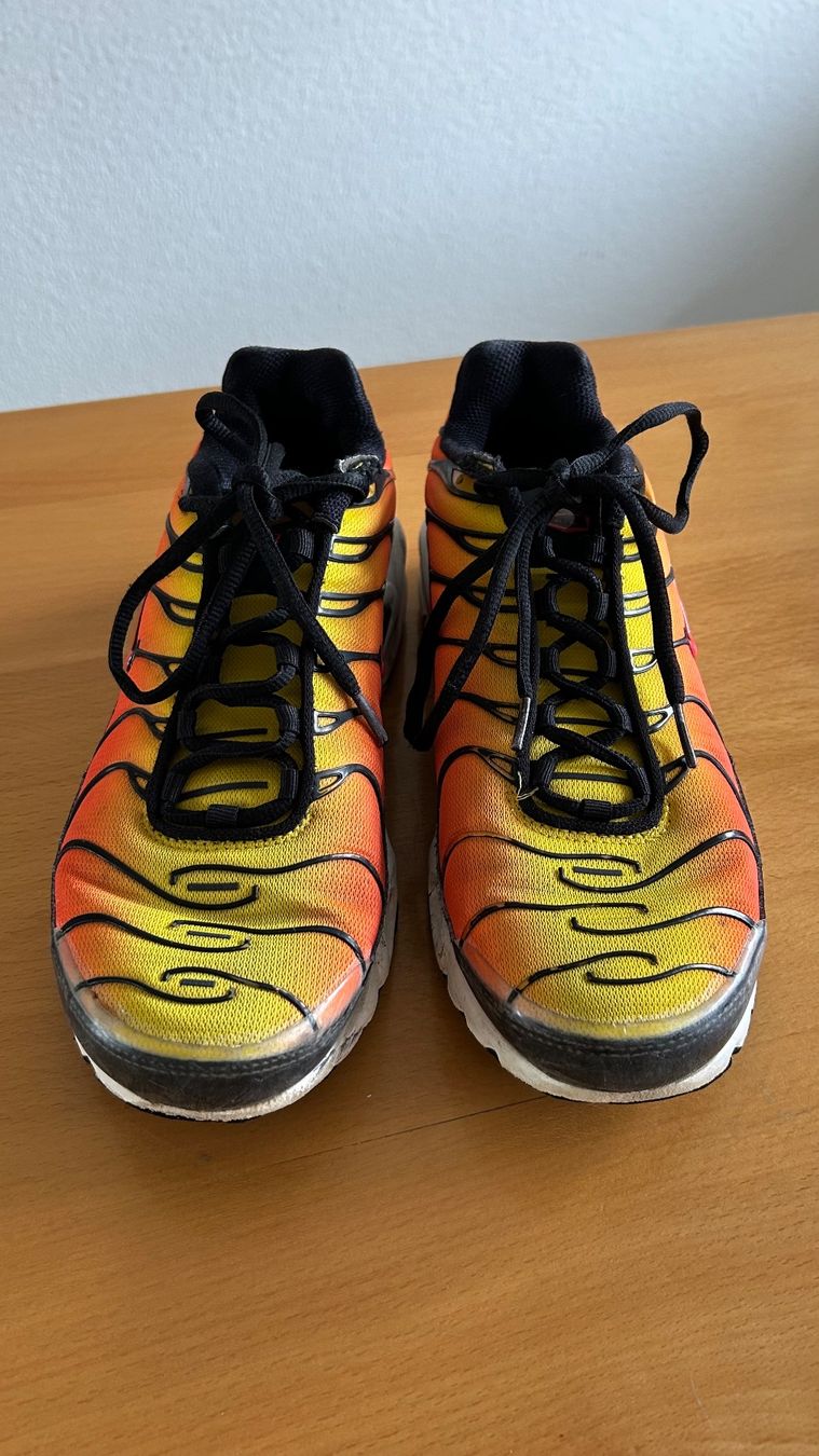 Nike Chaussures hommes: Nike Air Max Plus / Gr. 41 – D'occasion à Dotzigen par rapunzel03 2