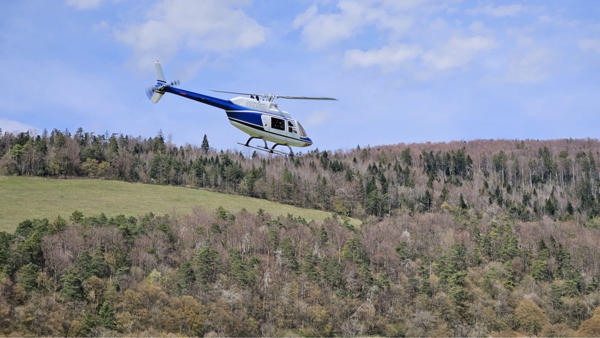 Align Modellismo RC: Jet Ranger 700er – Usato da Delémont venduto da koalai 7