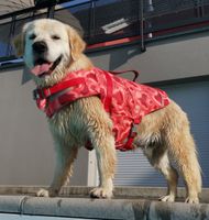 Schwimmweste Hund