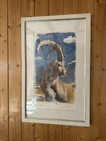 Steinbock Bild von Fritz Hug
