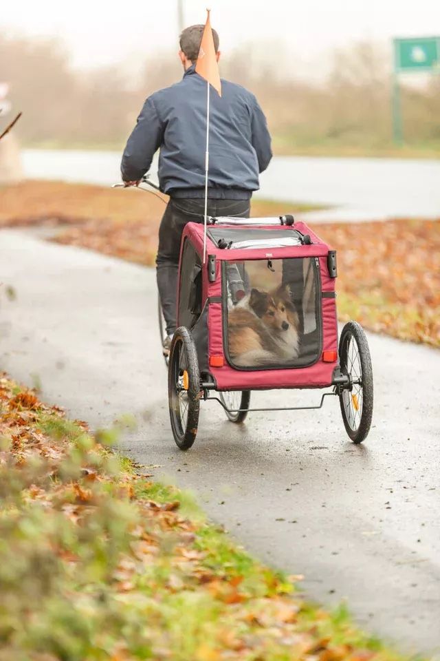 Rimorchi: ! LETZTE CHANCE ! Fahrradanhänger Hund – Nuovo e nell'imballaggio originale da Suhr venduto da Occasion_2026 3