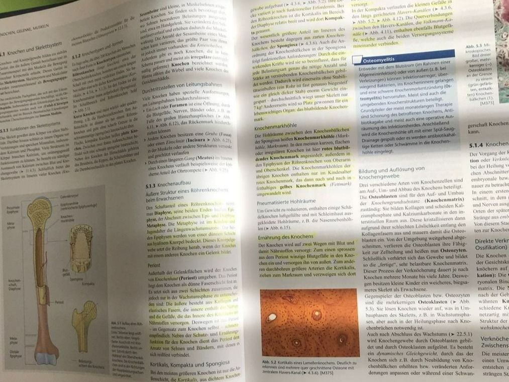 Libri: Mensch Körper Krankheit 6. Auflage – Usato da Gümligen venduto da Storcko 1
